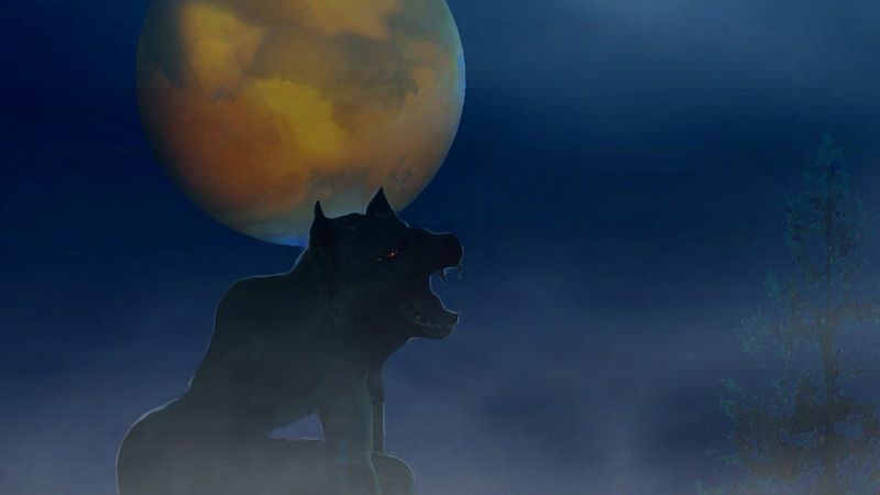 werewolf in front of the moon