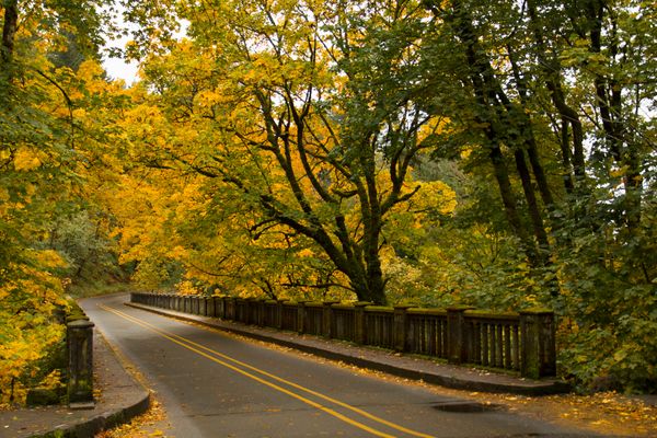 Get out there: Scenic fall drives